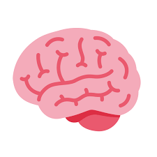 Fach - Deutsch Psycholinguistik